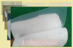 ĤʩӦù淶